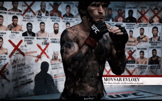 Ufc GIF