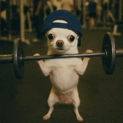 Workout GIF