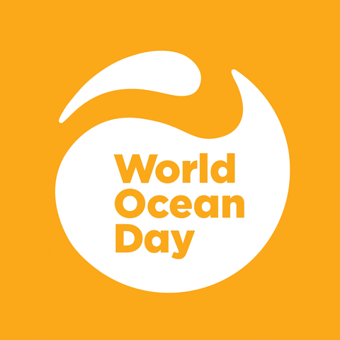 Oceans Caf GIF by World Ocean Day