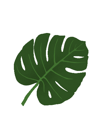 Green Sticker
