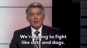 Cats And Dogs GIF by Election 2020