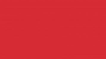Festival Cement GIF