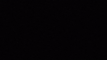 Dale Play Records GIF