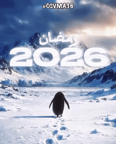 Penguin Islam GIF