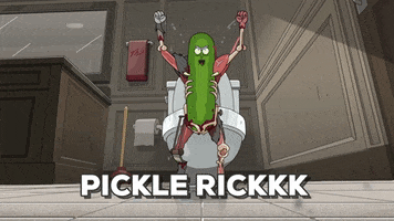 pickle rick GIF by Adult Swim