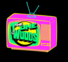 Theoneinthewoods GIF by TheOnePromotions