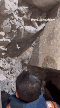 Cat Pulled Alive From Gaza Rubble