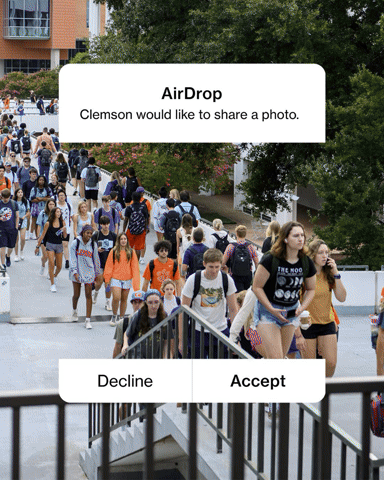 College Football School GIF by Clemson University