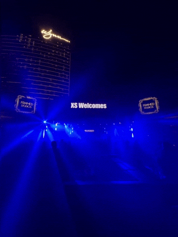 Wynn GIF by Framed Studios