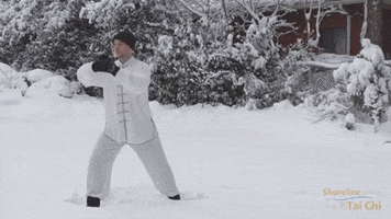 Relaxed Tai Chi GIF by Shoreline Tai Chi
