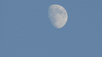 Moon Phase GIF