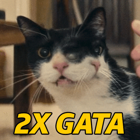 Gata Partiu GIF by Petrobras