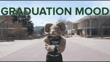 Csu Rams Confetti GIF by Colorado State University