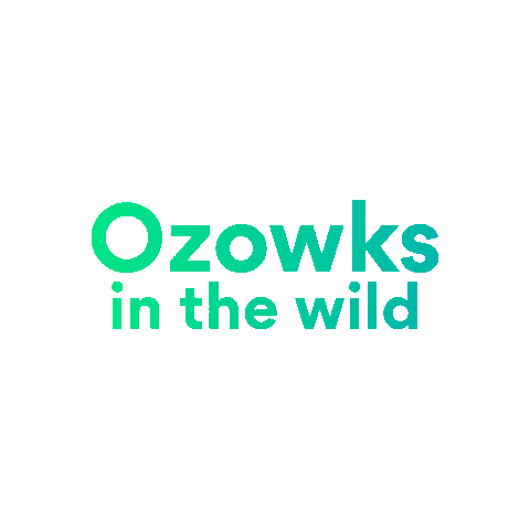 Into The Wild Retreat Sticker by Ozow