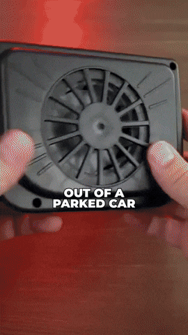 Animated GIF