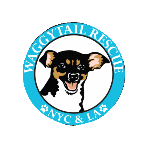 Waggytail Rescue Sticker