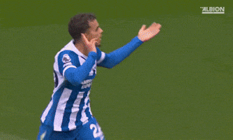 Football Brighton GIF