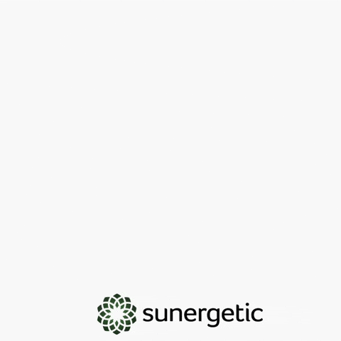 Suner GIF by Sunergetic