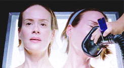 american horror story