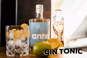 Cheers Ostwestfalen GIF by Sankt Anna Gin