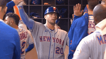 High Five Major League Baseball GIF by New York Mets