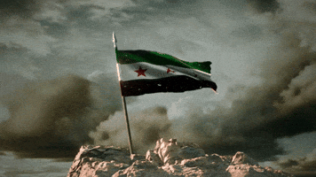 Flag Of Syria GIF