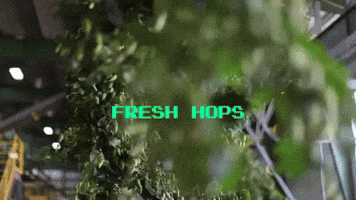 Scenic Valley Farms GIF