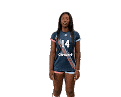 Volleyball Volley Sticker by Neptunes_VolleyBall