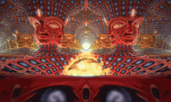 Trip GIF