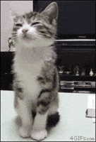 200.gif?cid=f0bdee70g92dgucjfco30c4e20eh9pkmix5aymntdv3cm8mu&rid=200.gif&ct=g