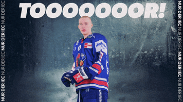 Happy Sport GIF by Iserlohn Roosters