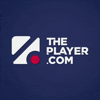 Game Sport GIF by Theplayer.com