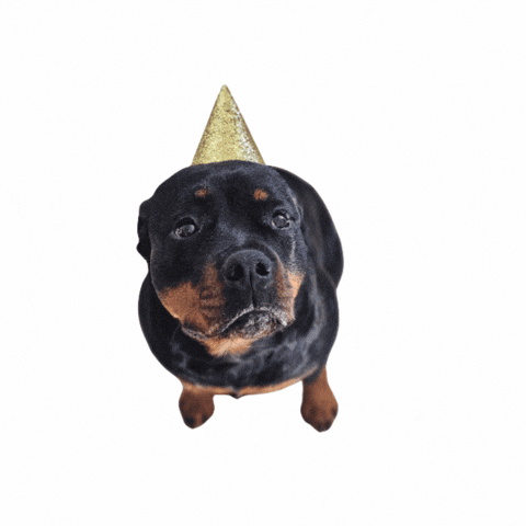 Happy Birthday GIF by vannboozy