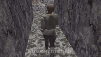 Mount And Blade Soldier GIF