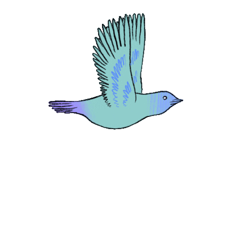 Bird Flying Sticker by E MERLIN MURRAY