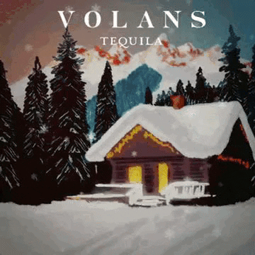 Happy Holidays GIF by Volans Tequila