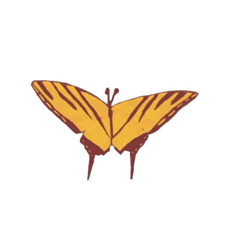 Sticker by EL Education