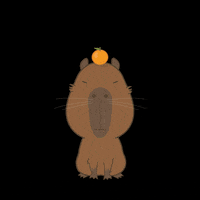Dance Capybara GIF