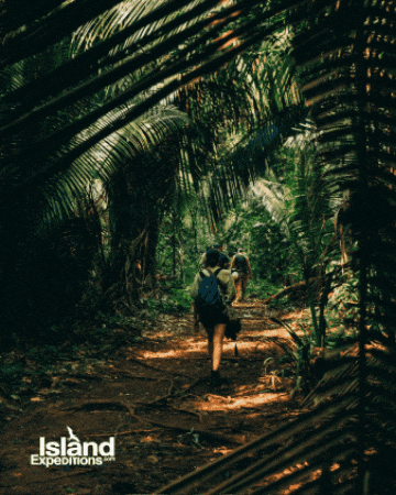 Belize Bocawina GIF by Island Expeditions