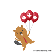 Happy Maple Leaf GIF by sendwishonline.com