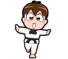 Taekwondo 태권도 Sticker
