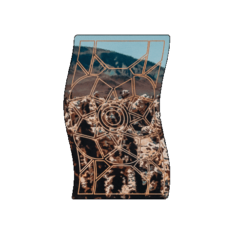 Joshua Tree Desert Sticker by The Arcoíris Design Co