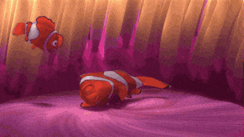 finding nemo morning GIF by Disney Pixar