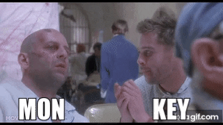 Monkey GIF