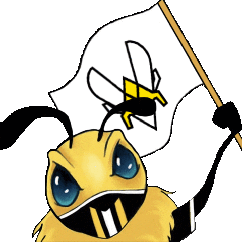 Flag Bee Sticker by Team Vitality