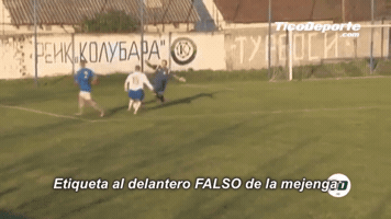 gabrielvargasbrizuela  GIF