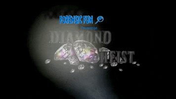 Diamond Heist Workshops GIF by Fools In Progress Theatre Co.