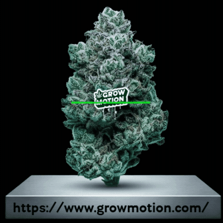 Grow Plant Growth GIF by EliteGrower