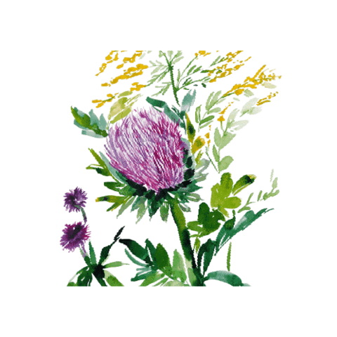 Art Flower Sticker