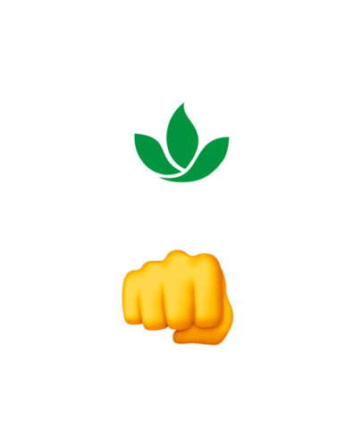 Casa Bugre Sticker